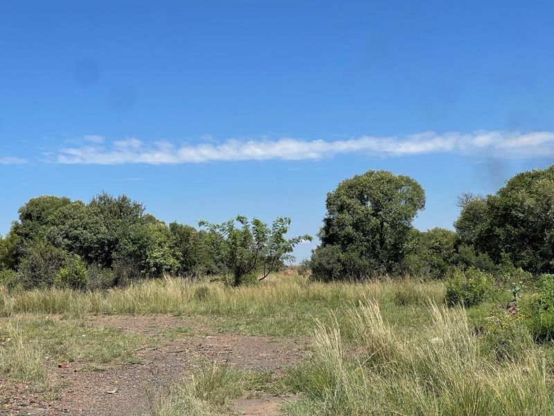 A view of a vacant residential plot featuring natural grassland and established native trees under a clear blue sky.
