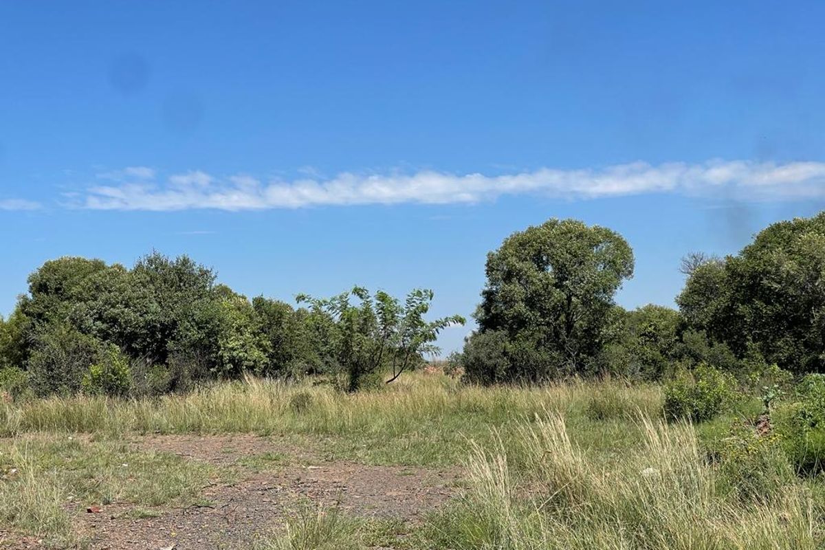 A view of a vacant residential plot featuring natural grassland and established native trees under a clear blue sky.