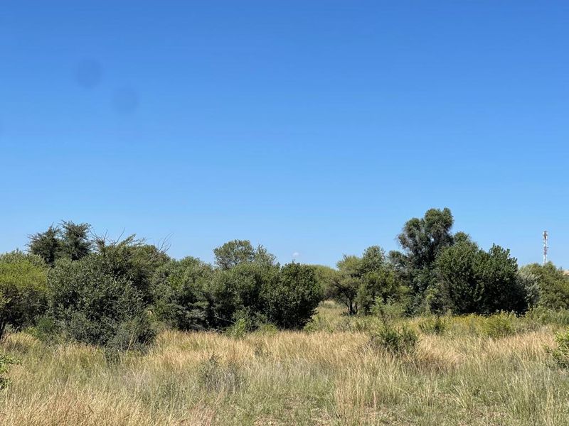 A view of the vacant residential land featuring natural vegetation and mature trees under a clear blue sky.