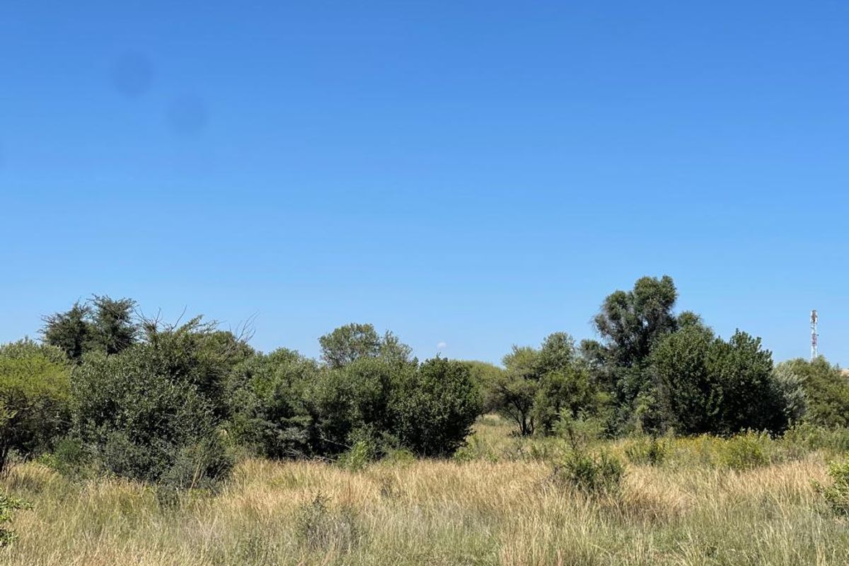 A view of the vacant residential land featuring natural vegetation and mature trees under a clear blue sky.