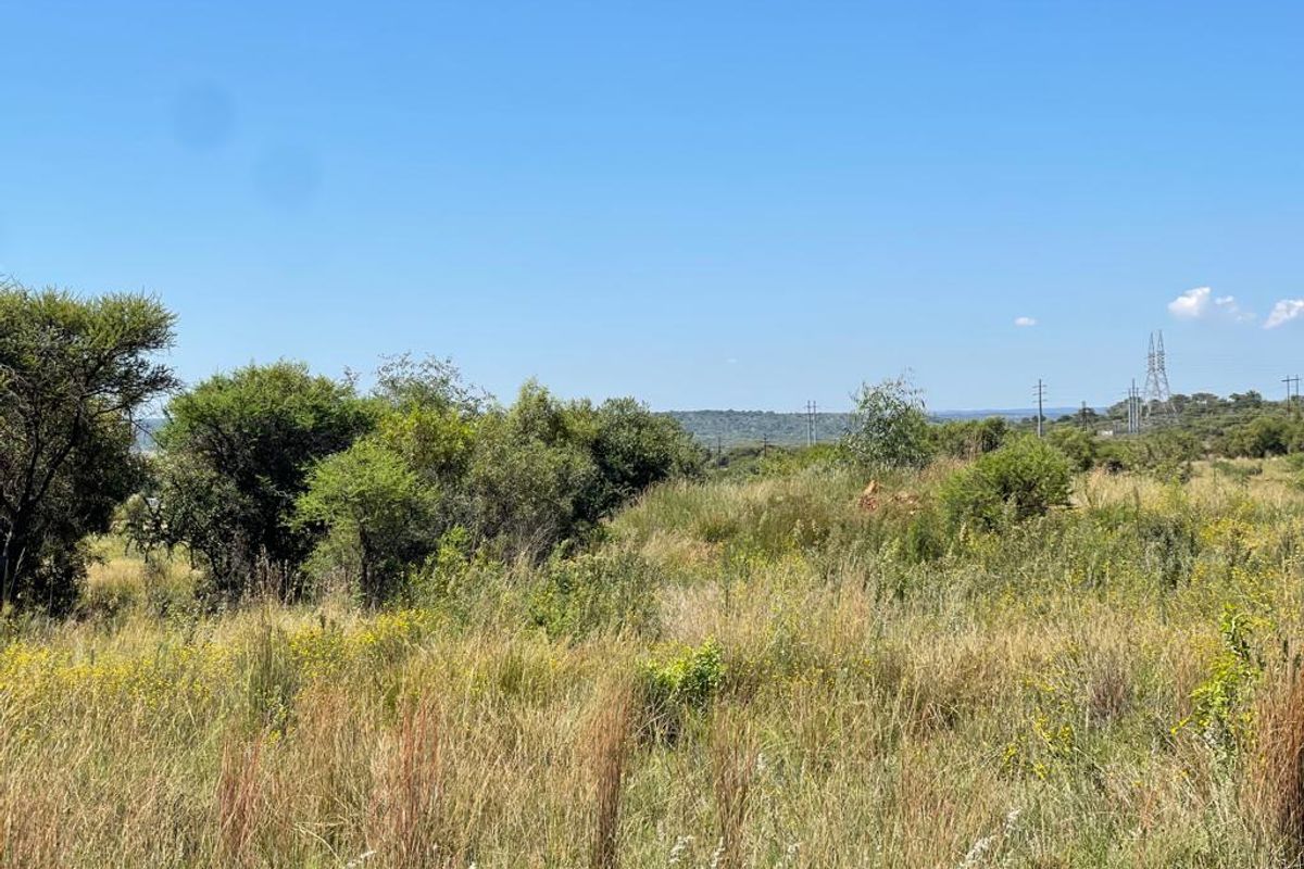 A view of the vacant residential land featuring natural grassland and native vegetation under a clear blue sky.