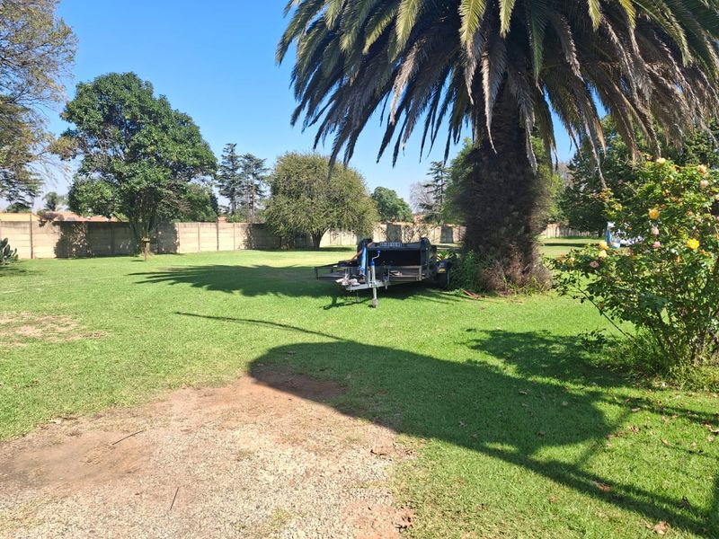 A spacious residential garden featuring a large mature palm tree, well-maintained lawn, and secure perimeter boundary wall.