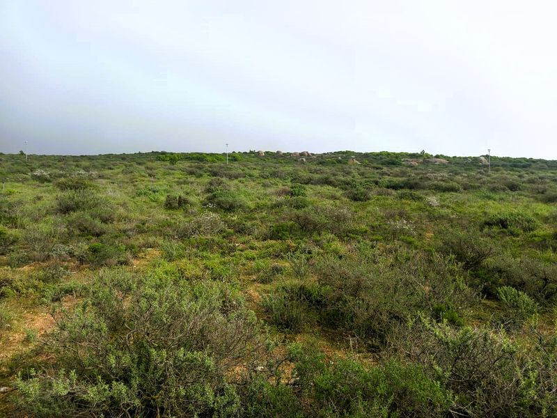 897m2 Plot for sale for only R635 000-00 - Photo 10