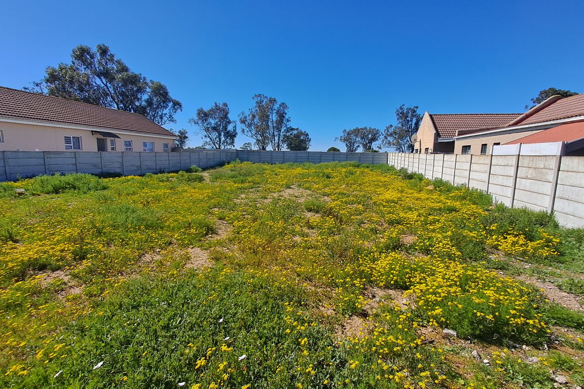 Vacant land available, 814 m2 situated in the stunning West Coast , Port Owen Velddrif. - Photo 2