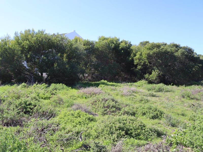 Vacant land for Sale in Shelley Point - Photo 5