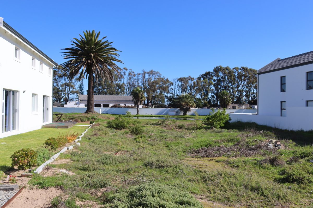 Rear view of the property showing a large open garden area with established palm trees and boundary walls between neighboring residential buildings.