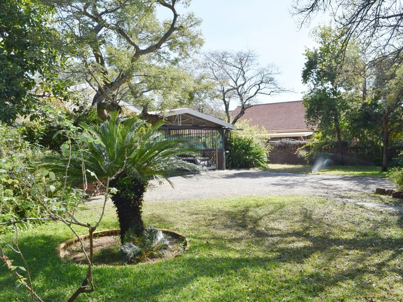 Spacious garden area featuring mature trees, a paved driveway, and a functional carport structure.