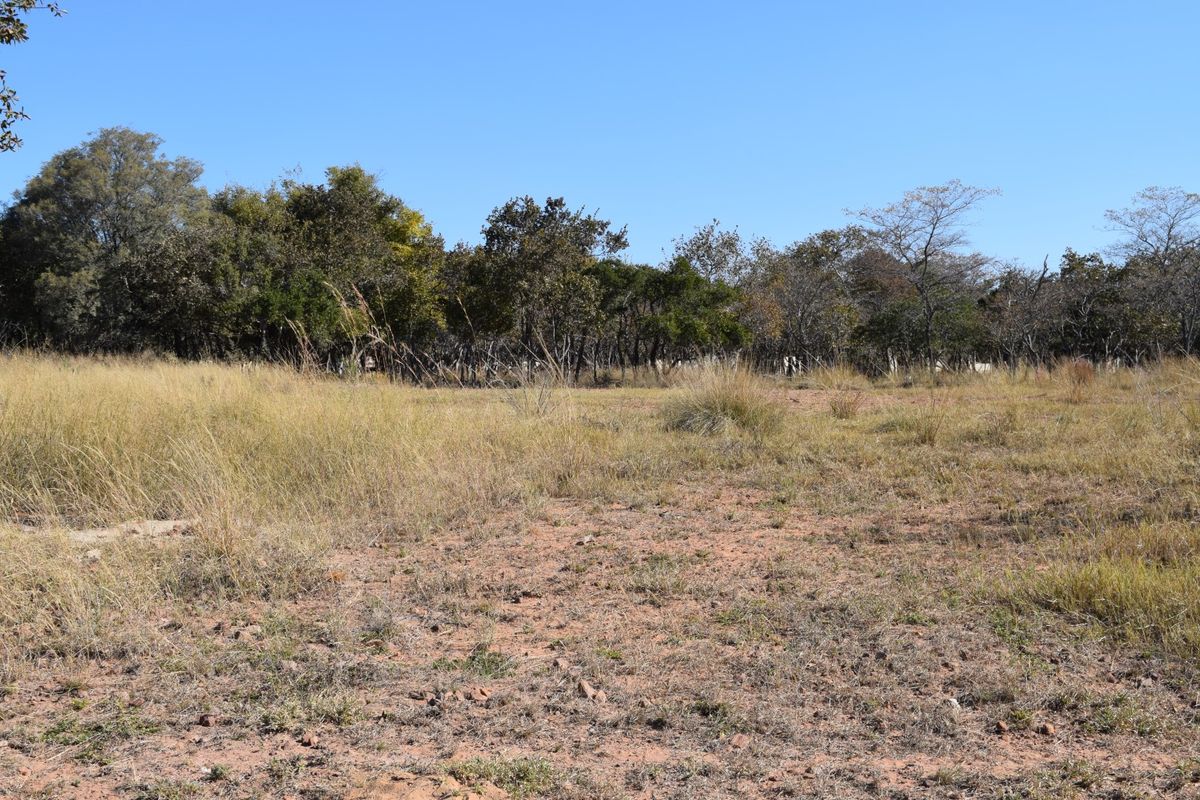 A view of a vacant residential plot featuring natural grass cover and established trees in the background.