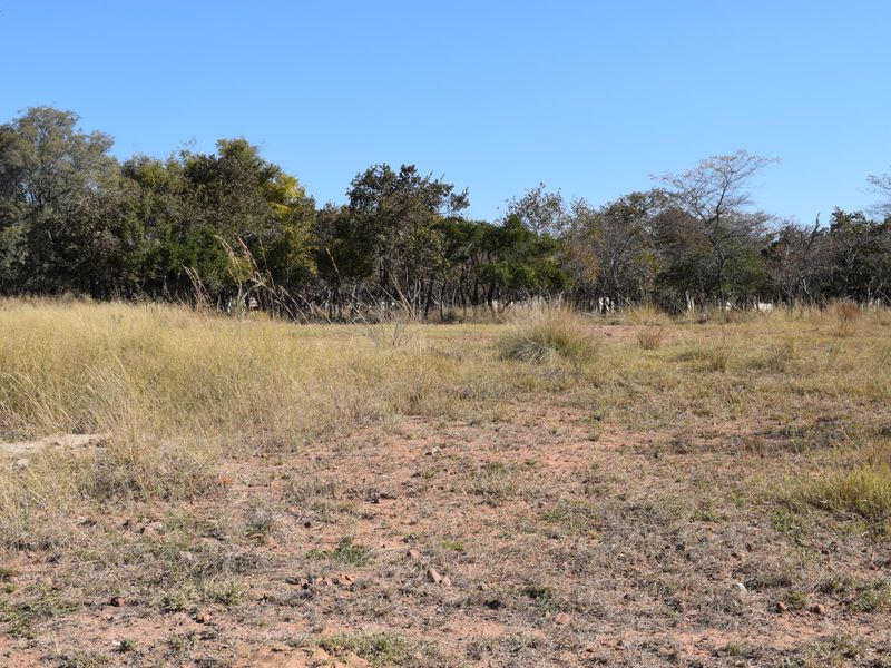 A view of a vacant residential plot featuring natural grass cover and established trees in the background.