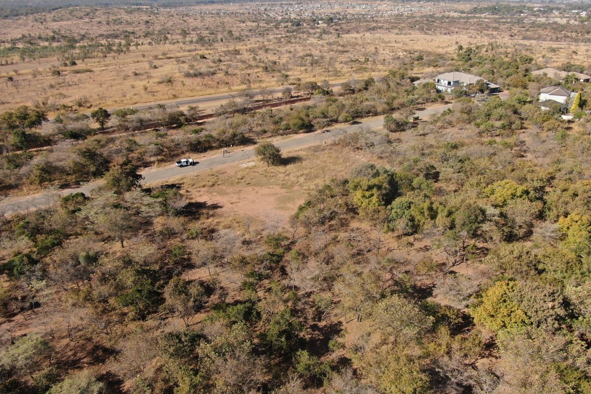 An aerial view of a large, undeveloped residential plot featuring native vegetation and direct access to a paved road in a quiet area.