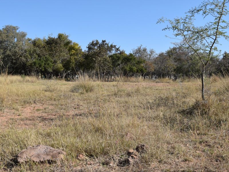 A view of the vacant residential land featuring natural grass cover and established trees in the background.