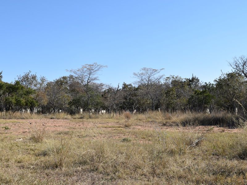 A view of a vacant residential plot featuring natural vegetation and cleared ground, suitable for future development.