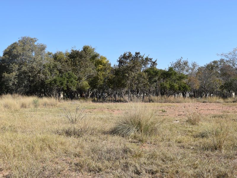 A view of a vacant residential plot featuring natural dry grass and a dense line of mature trees in the background.