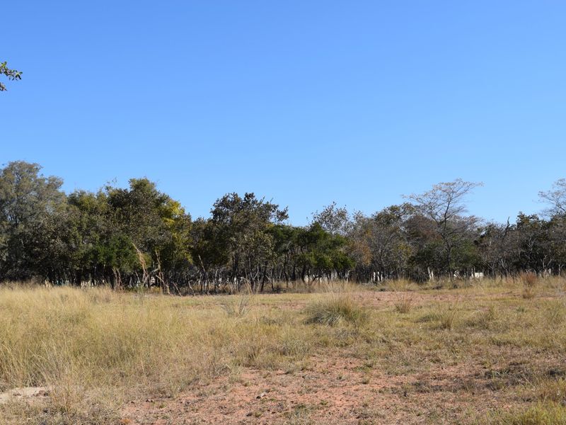 A view of a vacant residential plot featuring natural dry grass and established native trees under a clear blue sky.