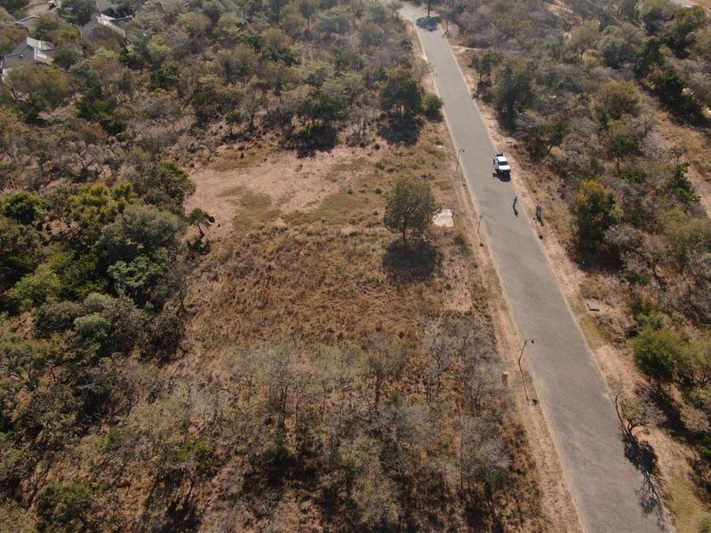An aerial view of a vacant residential plot situated alongside a paved road with established trees and natural vegetation.