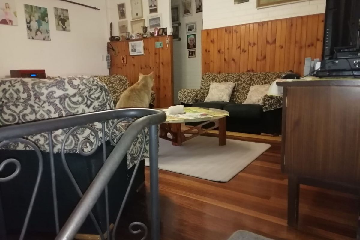 Charming Home with Separate Flat - Photo 3