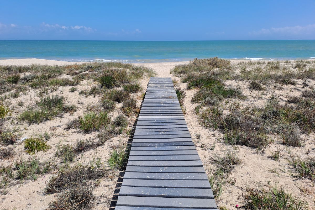A scenic view of a wooden boardwalk leading through coastal dunes directly to the sandy beach and ocean.
