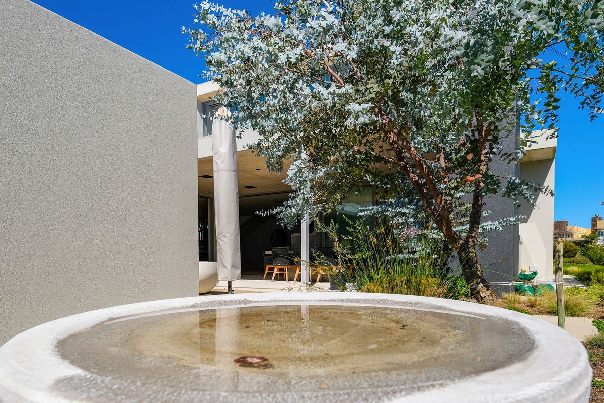 A modern rear exterior view featuring a concrete water feature, landscaped garden, and a covered patio area.