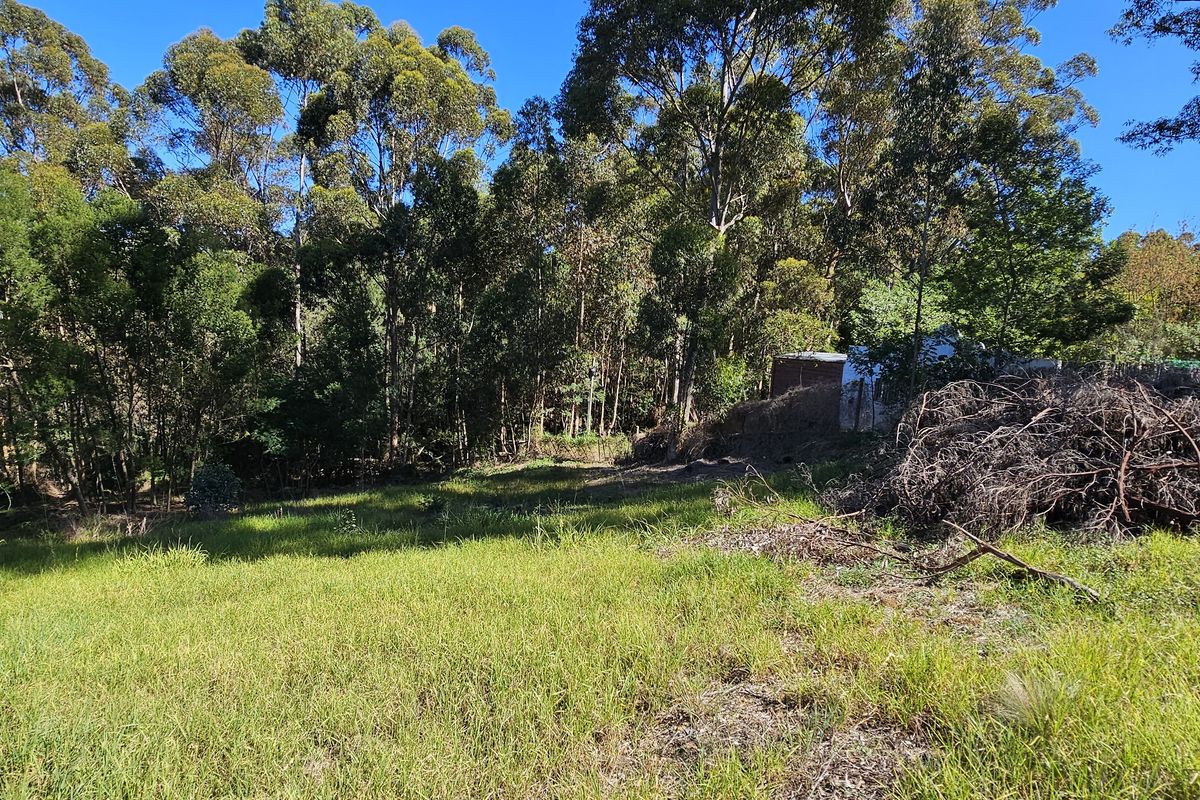 Quite and peaceful, close to nature. - Photo 2