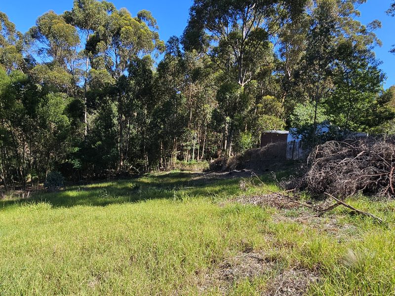 Quite and peaceful, close to nature. - Photo 2