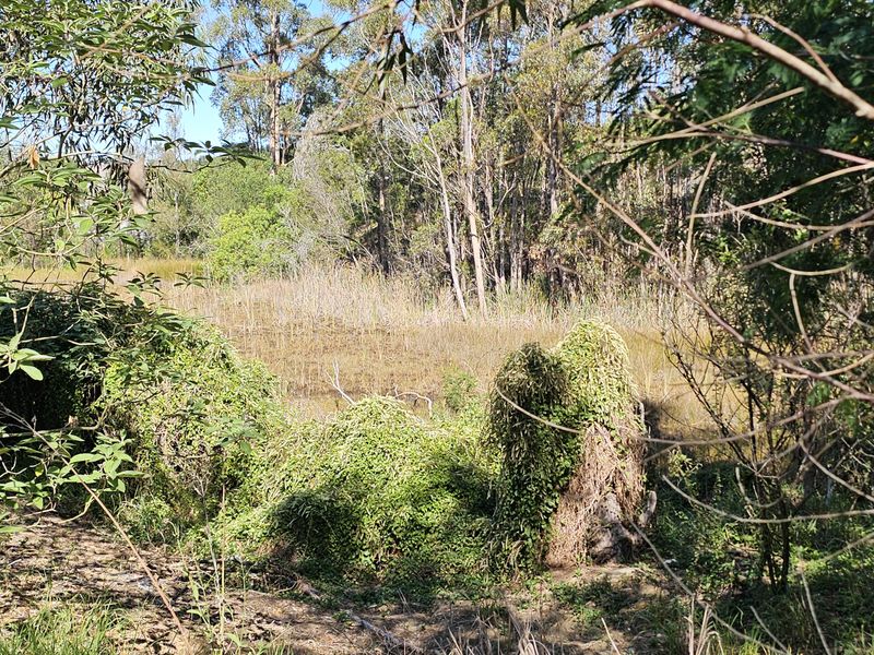 Quite and peaceful, close to nature. - Photo 10