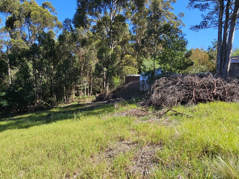 Quite and peaceful, close to nature. - Photo 9