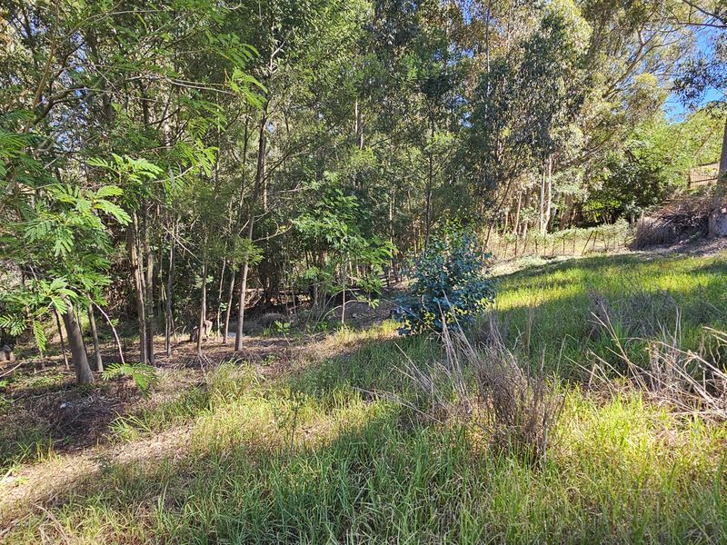 Quite and peaceful, close to nature. - Photo 7