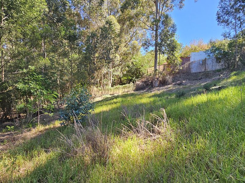 Quite and peaceful, close to nature. - Photo 6