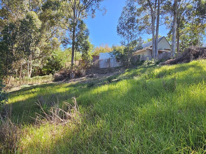 Quite and peaceful, close to nature. - Photo 5