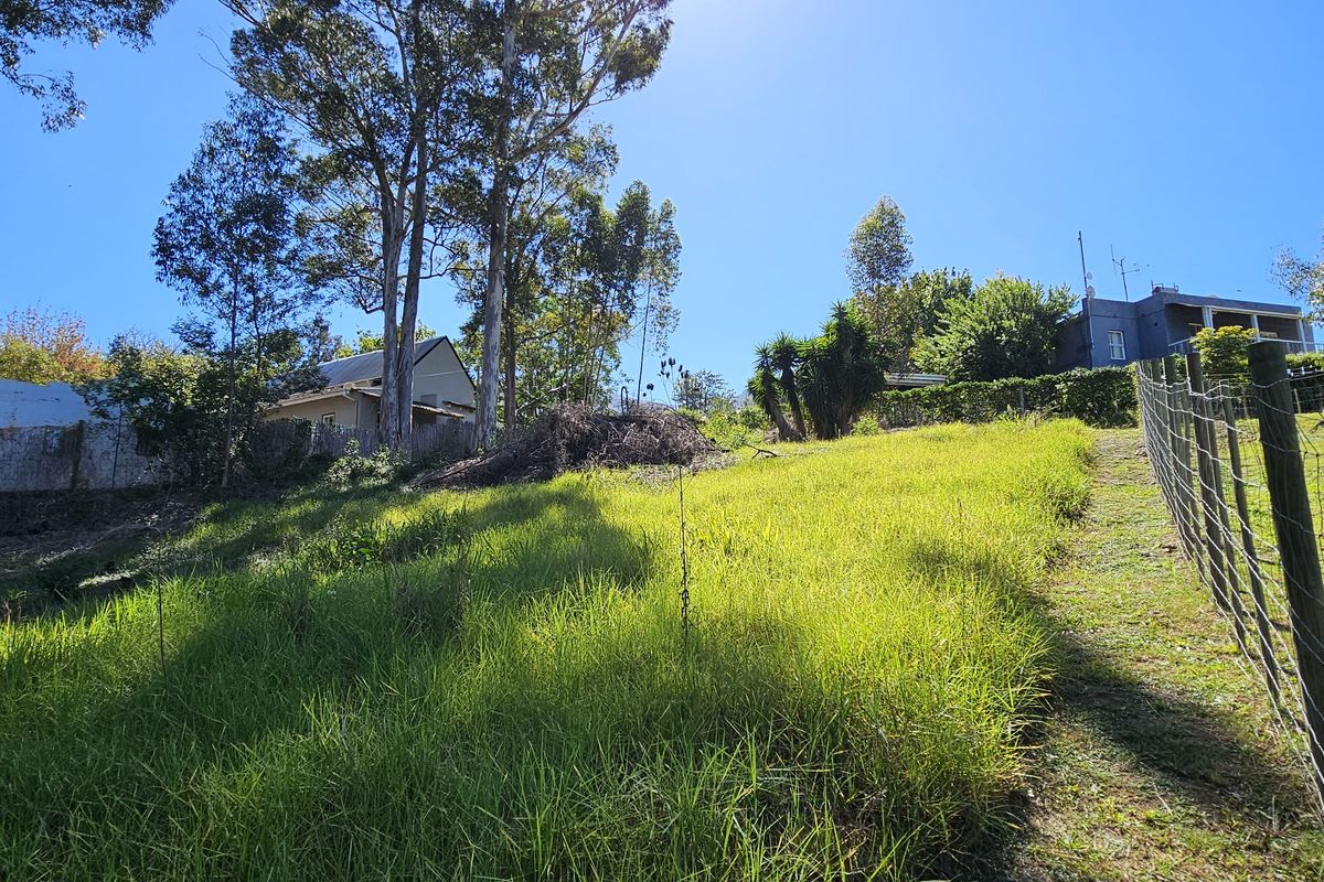 Quite and peaceful, close to nature. - Photo 3