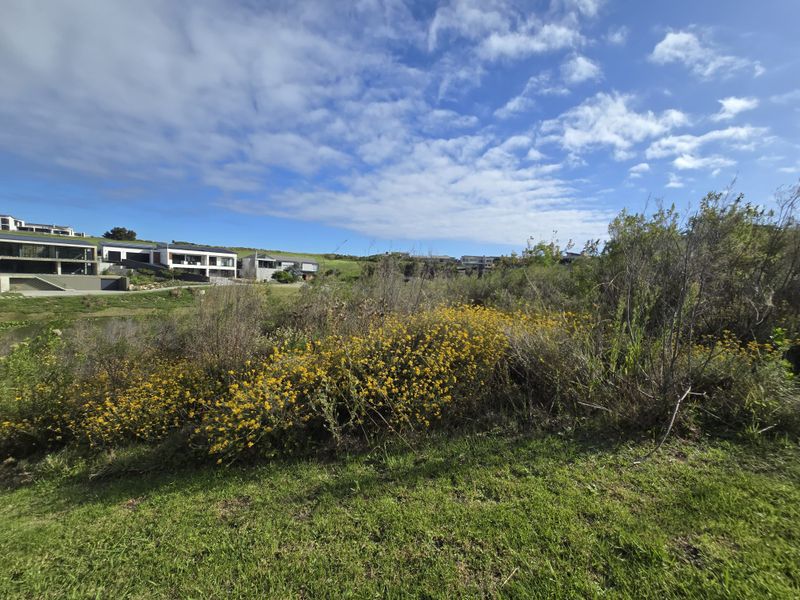 A view of a vacant residential plot featuring natural vegetation and grass, with surrounding residential properties visible in the background.
