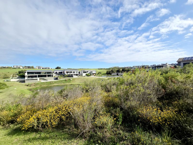 A scenic view overlooking a natural pond and surrounding residential estate properties within a landscaped environment.