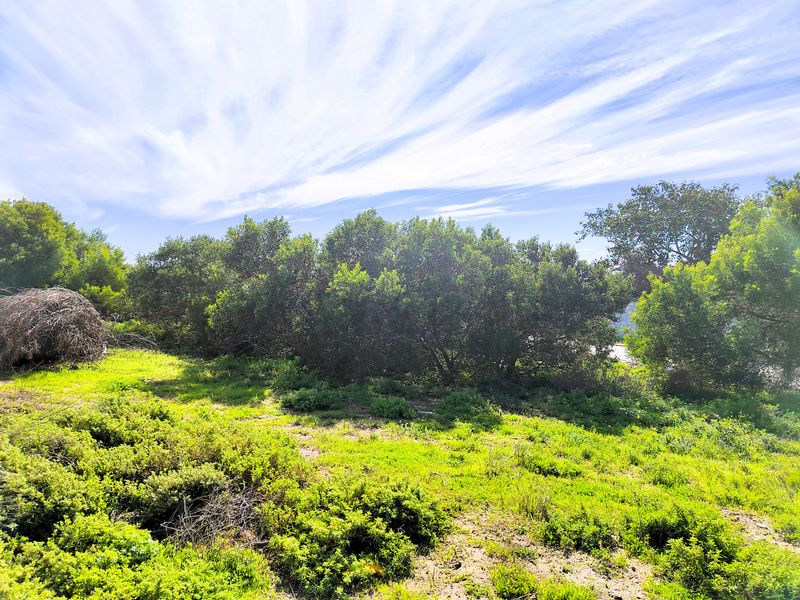 Vacant land for sale in Da Gama Bay - Photo 5