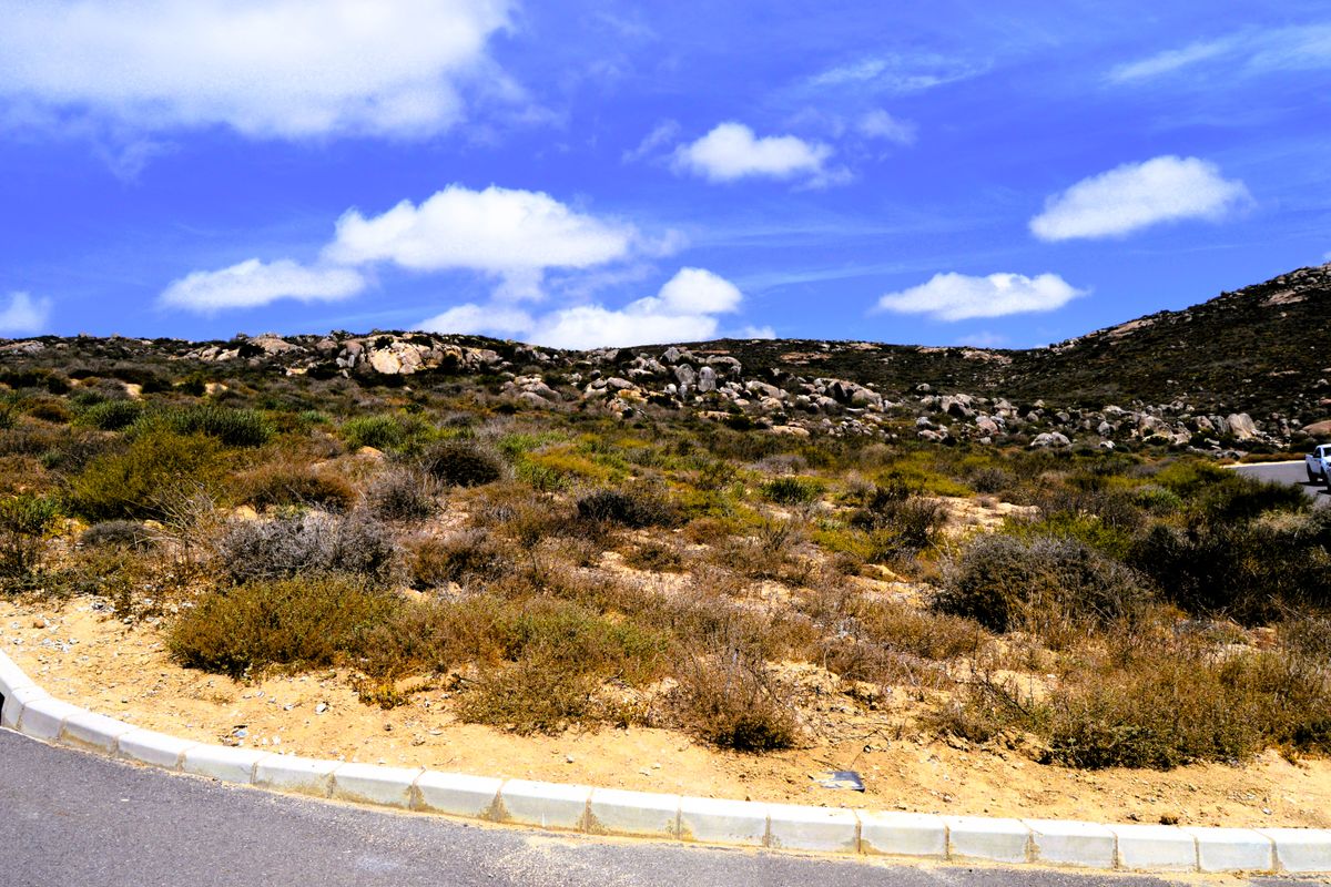 Plot in Steenbergs Cove @R399 000-00 - Photo 4