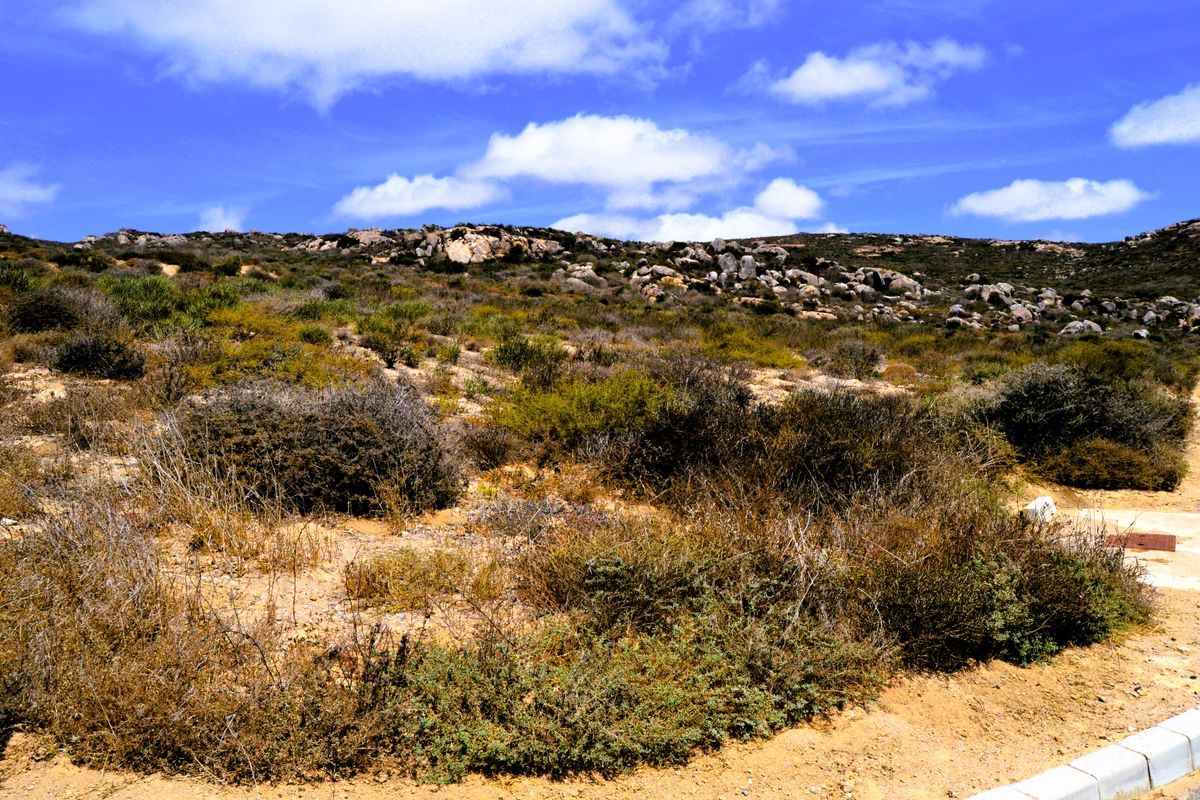 Plot in Steenbergs Cove @R399 000-00 - Photo 2