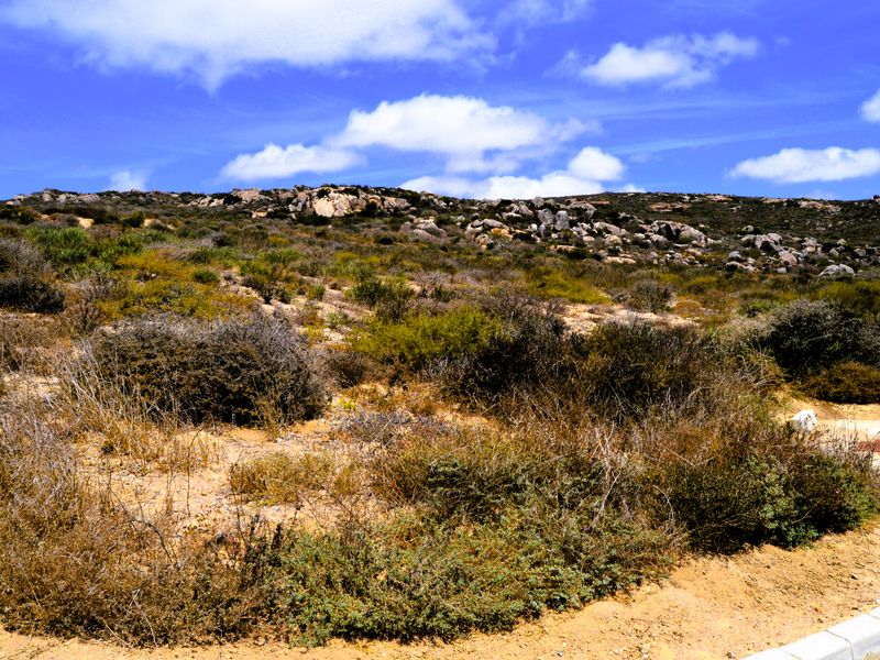 Plot in Steenbergs Cove @R399 000-00 - Photo 2