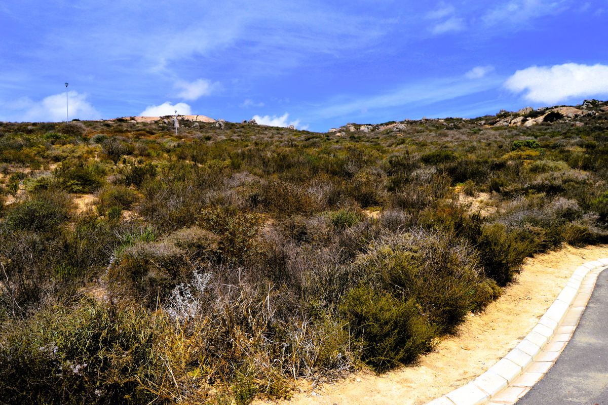 307m2 Plot available for only R499 000-00 in Steenberg Cove, St Helena Bay - Photo 3