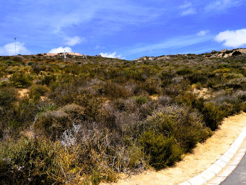 307m2 Plot available for only R499 000-00 in Steenberg Cove, St Helena Bay - Photo 3