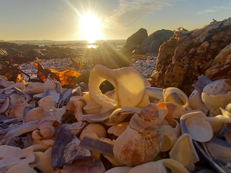 307m2 Plot available for only R499 000-00 in Steenberg Cove, St Helena Bay - Photo 10