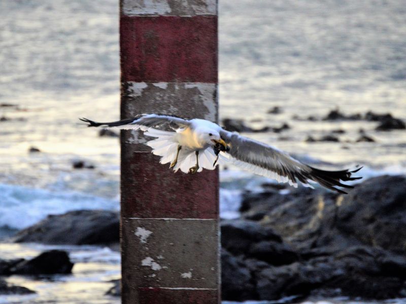 307m2 Plot available for only R499 000-00 in Steenberg Cove, St Helena Bay - Photo 7