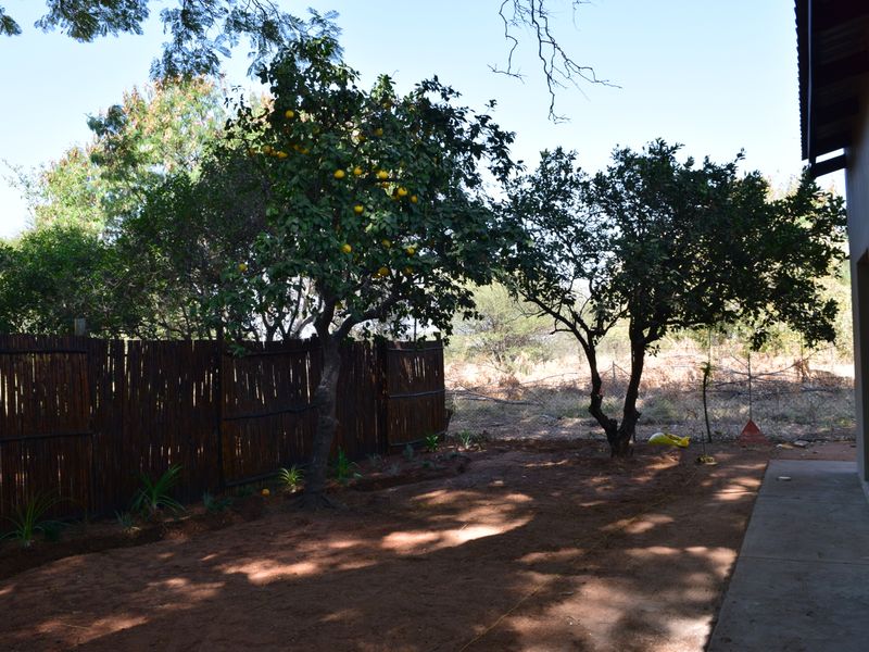 A private rear garden area featuring a concrete patio, established fruit trees, and natural reed fencing, offering a quiet outdoor space.