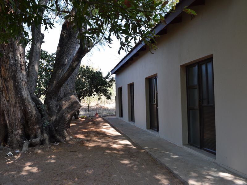 Rear exterior view of the apartment building featuring a concrete walkway, multiple sliding glass door access points, and mature trees.