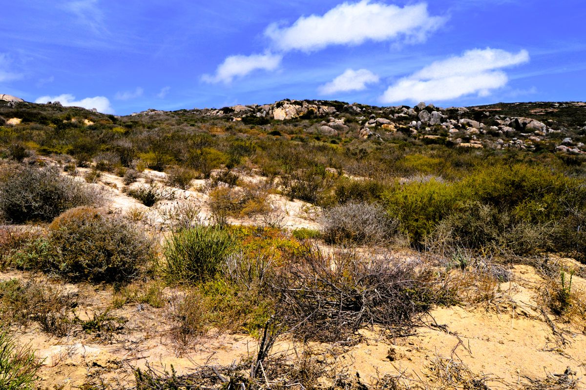 312m2 Plot for only R499 000-00 at Steenbergs Cove , St Helena Bay - Photo 4