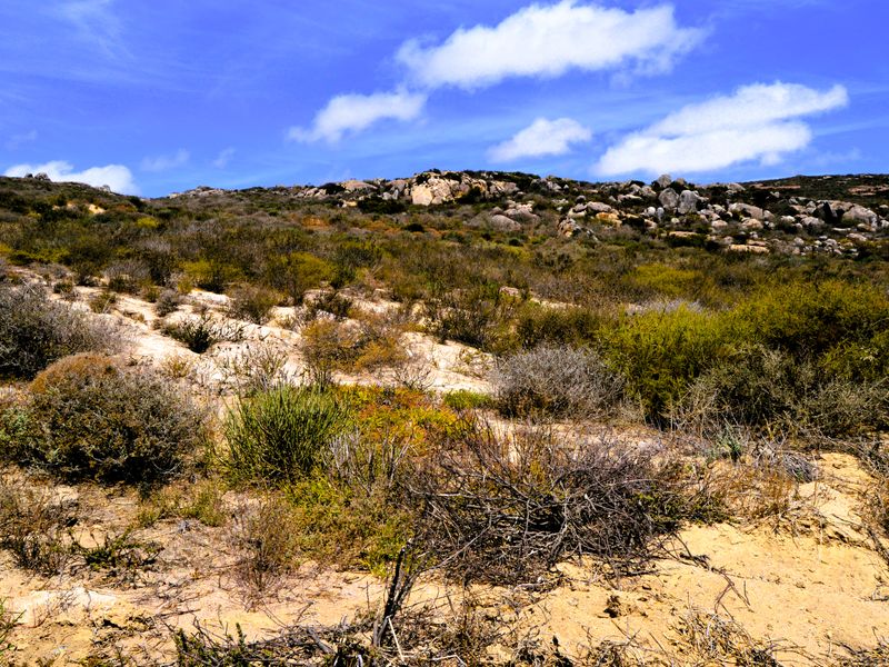 312m2 Plot for only R499 000-00 at Steenbergs Cove , St Helena Bay - Photo 4