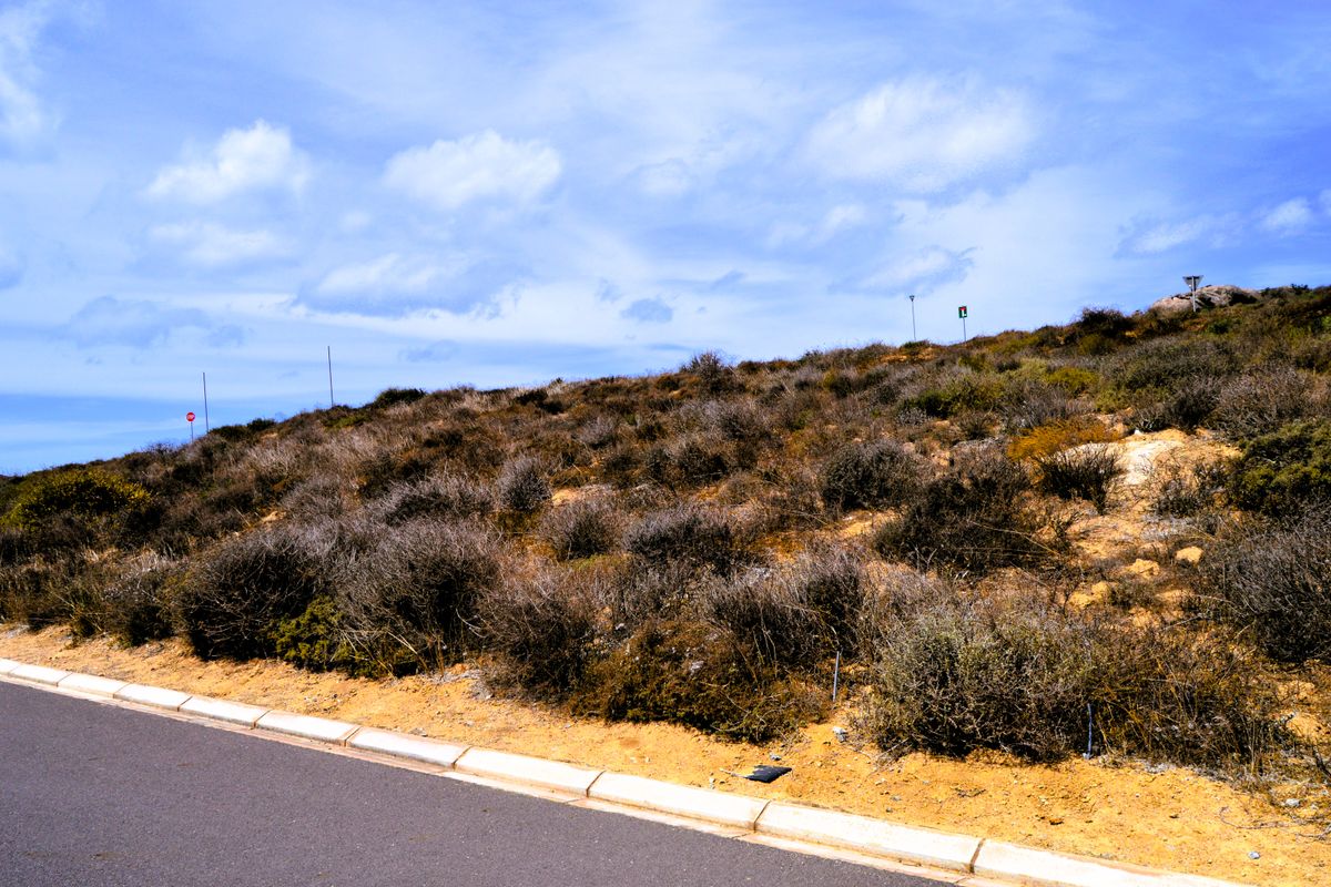 319m2 Plot for sale for only R399 000-00 at Steenbergs Cove, St Helena Bay - Photo 3