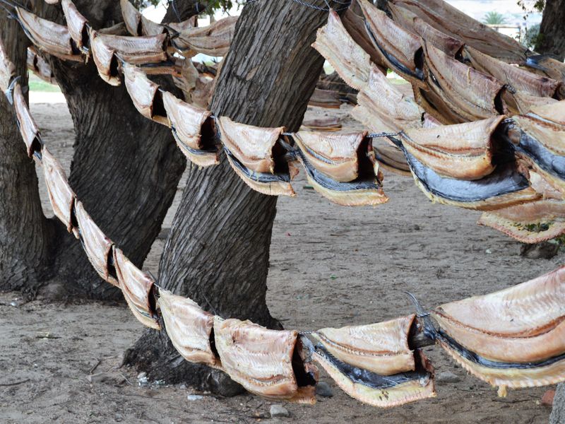 289m2 Plot for sale for only R399 000-00 at Steenbergs Cove, St Helena Bay - Photo 9