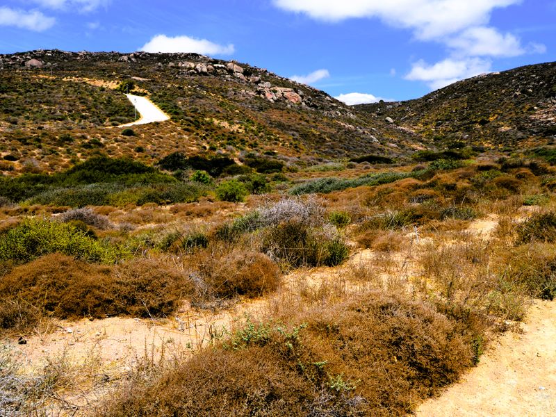 289m2 Plot for sale for only R399 000-00 at Steenbergs Cove, St Helena Bay - Photo 3