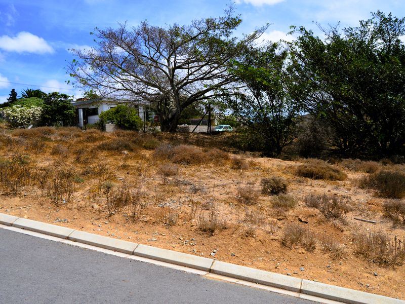 A view of a vacant residential plot from the street, featuring natural vegetation, mature trees, and a paved curb.