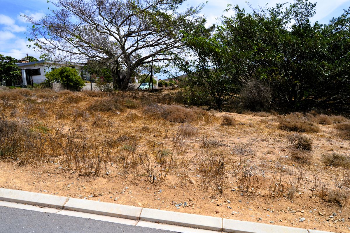 A vacant residential plot featuring established trees and direct street access with concrete kerbing.