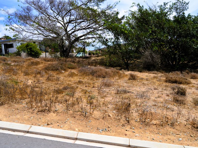 A vacant residential plot featuring established trees and direct street access with concrete kerbing.